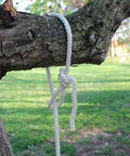 Paracord 550 Nylon Rope For Camping And Hiking, A Real Workhorse Utility Cord, tied on tree branch outdoors
