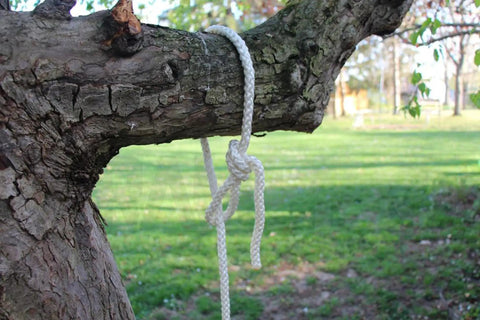 Paracord 550 Nylon Rope For Camping And Hiking, A Real Workhorse Utility Cord, tied on tree branch outdoors