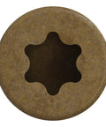 Finish Trim Screws No 7 By 3 In T10 Trim Head with Sawtooth Point, underhead threads, Tan Quik Guard, screw head close-up