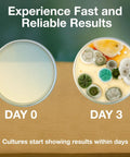 Hands On Microbiology Science Kit For Students With Ten Pre Poured Agar Plates And Cotton Tipped Sticks Learn Microbiology At Home Or In Class With Easy To Follow Instructions An Educational Experiment Guide And Ebook - showing petri dishes with mold growth comparison over three days.
