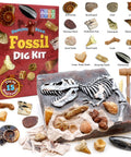 Fossil Dig Kit for Kids, Excavating Fossils, Dinosaur Bones, Shark Teeth, Educational Activity, Box and Contents Visible