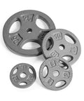 Gray weight plates from Adjustable Barbell and Dumbbell Weight Set With 1 Inch Threaded Chrome Knurled EZ Curl Or Straight Bar Handle.