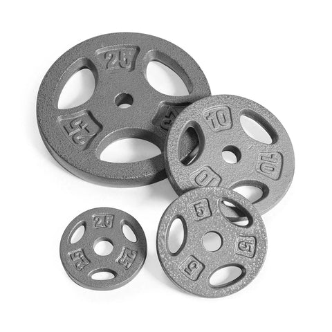 Gray weight plates from Adjustable Barbell and Dumbbell Weight Set With 1 Inch Threaded Chrome Knurled EZ Curl Or Straight Bar Handle.
