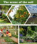 Collage of scenes: backyard with lawn, orchard with oranges, farm with plow, people in vegetable garden, and flower-filled garden.