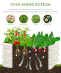Cross-section of Two Pack 2 By 1 Foot Galvanized Raised Garden Bed Kit For Outdoor Planting And Gardening, Deep 12 Inch Bed With Durable Metal Planter Box And Open Bottom Drainage For Deep Rooted Plants showing water flow and plant growth.