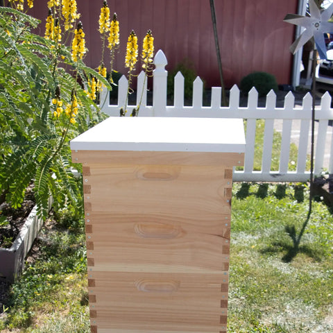 Telescoping Beehive Cover For 10 Frame Honeybee Hives Fully Assembled Amish Made In USA with metal top in garden setting