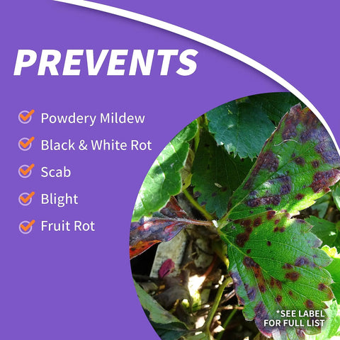 Fruit Tree Guard Concentrate 16 oz foliage protector prevents powdery mildew, rot, scab, blight, and fruit rot.