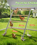 Heavy Duty Metal Chicken Coop Run With Walk In Design Roosting Perch showing multiple chickens on wooden perches outdoors.