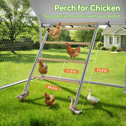 Heavy Duty Metal Chicken Coop Run With Walk In Design Roosting Perch showing multiple chickens on wooden perches outdoors.