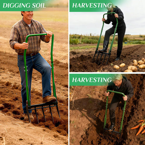 Gardeners using Five Tined Broad Fork Garden Tool For Deep Digging And Soil Cultivation With Heavy Duty Build And Ergonomic U Shaped Handle