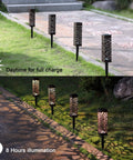 Dual Use Solar Pathway Lights Set Of 6 In Brown Stainless Steel With Warm White 8 Lumen for walkways and driveways, day and night view