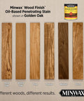 Minwax Wood Finish Oil-Based Penetrating Stain in Golden Oak on various wood samples including Red Oak and Pine.