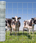Heavy Duty Farm Fence 4Ft By 164Ft Galvanized Hog Wire Fence For Livestock Yard Cattle Sheep Goat Protection Zinc Coated 14 Gauge Steel Wire Twisted Weave Construction front view