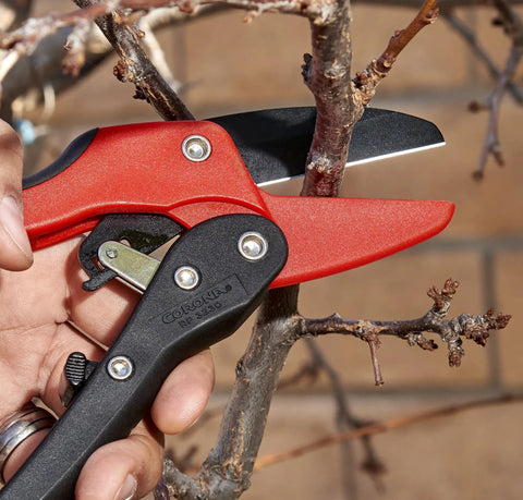 Ratcheting Hand Pruner For Thick Stems And Branches, Three-Quarter Inch Cut Capacity Garden Pruning Shears in action on branch