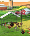Walk In Heavy Duty Chicken Coop With Large Outdoor Run 9.8 Feet Long 9.8 Feet Wide 6.6 Feet High Sturdy Steel Frame in a rural backyard