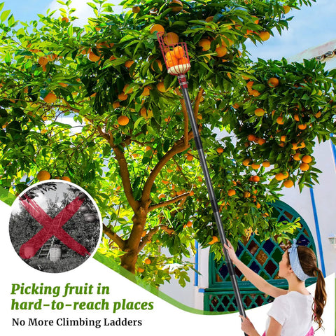 Long Reach 13 Foot Fruit Picker With Basket And Adjustable Stainless Steel Pole Grabber Tool for oranges high up in tree