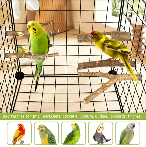 Birds perched on Straight Up Natural Wood Bird Perch Stand Set Five Piece Untreated Branches For Bird Cages.