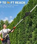 Man using Cordless Pole Hedge Trimmer With 14-Foot Reach And 18-Inch Cutting Head to trim tall hedges outside.