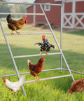 Chickens on Natural Wood Chicken Perch Roosting Bars for Coop and Backyard Poultry, 4-tier roost ladder, outdoors by barn