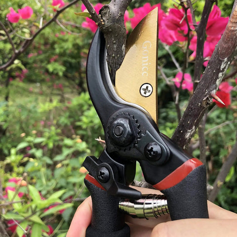 8 Inch Titanium Coated Bypass Pruning Shears For Heavy Duty Garden Pruning Premium SK5 Steel Blade Rust Resistant And Ultra Sharp Ergonomic Non Slip Aluminum Handles For Smooth Cutting trimming a branch