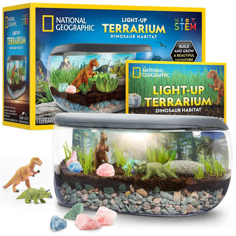 Light Up Dino Terrarium Kit For Kids Lets Them Grow Real Plants And Gemstones To Build A Prehistoric Habitat With Backdrop