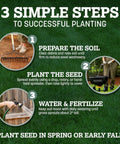 Infographic showing 3 simple steps to successful planting of Premium Kentucky 31 Tall Fescue Grass Seed in a garden.