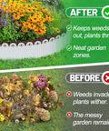 Before and after comparison using Easy Install Garden Landscape Edging Kit Sets Up In Minutes 6.5 Ft Total Length No Digging Required Lawn Border For Dividing Yard And Flower Beds Includes 10 White Panels 8.3 In Long By 5.9 In High