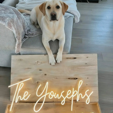 Custom Neon Sign For Wall Decor And Parties Personalize Your Name Logo Text Or Emoji In Your Favorite Font And Color A Totally Dope Gift For Weddings Birthdays Bars Game Rooms Home Offices Or Shops displayed near a dog on a sofa