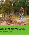 Person using 40V Cordless Leaf Blower With Brushless Motor, 730 CFM And 190 MPH, Lightweight Gas Free Workhorse in park
