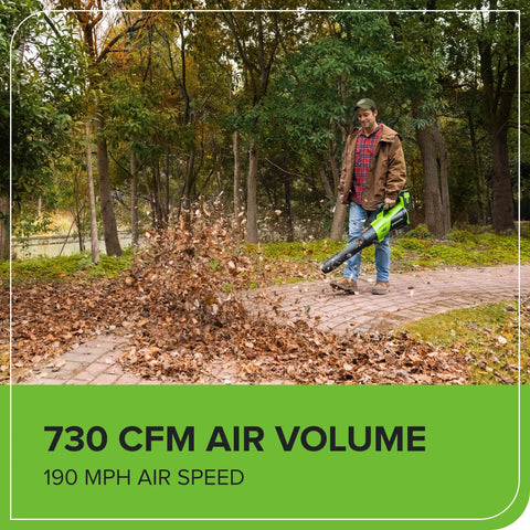 Person using 40V Cordless Leaf Blower With Brushless Motor, 730 CFM And 190 MPH, Lightweight Gas Free Workhorse in park