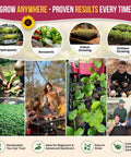 55 Vegetable Seeds Variety Pack Non GMO Heirloom Seeds For Your Home Garden Indoors And Outdoors Hydroponic Ready 35,600 Plus Seeds In Individual Packets Great Starter Kit For Veggie Growers with images of hydroponic and outdoor growing setups