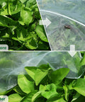Before and after using Ultra Fine Garden Mesh Netting Pest Barrier Ten By Fifty Feet White Plant Covers for garden protection.