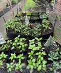 Fabric Raised Garden Bed Kit 128 Gallon With Eight Plant Grow Bags 3x6 Ft Planter for vegetables and flowers displayed in garden
