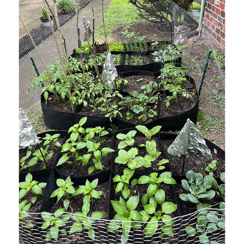 Fabric Raised Garden Bed Kit 128 Gallon With Eight Plant Grow Bags 3x6 Ft Planter for vegetables and flowers displayed in garden