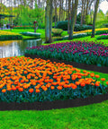 40 Ft No Dig Landscape Edging Kit With 40 Stakes, Flexible Plastic Border shaping flower beds in a garden