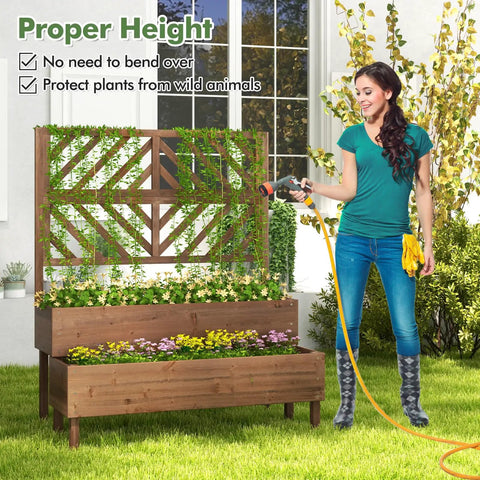 Raised Garden Bed With Trellis And Two Planter Boxes 2 Tier Outdoor Wooden Elevated Planter Box With Legs And Drainage Holes Built To Last From Durable Fir Wood For Flowers Herbs Vegetables And Fruits Brown with woman watering plants