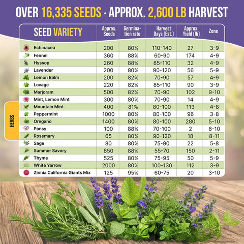 Herb seed variety chart with 35 Medicinal And Tea Herb Seeds Variety Pack For Indoor And Outdoor Planting With 16,335+ Non GMO Heirloom Seeds