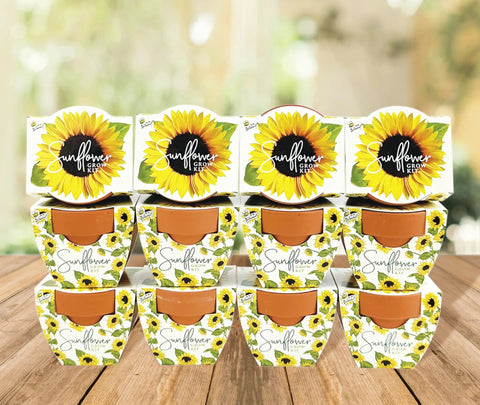 All In One Sunflower Mini Terracotta Pot Grow Kit 12 Pack For Indoor And Outdoor Gardens Seed Starter DIY Plant Project