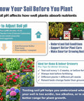 Must Have Quad Pad Four Zone Soil pH Test Strips Kit 0.25 pH Increments, 120 Count For Hydrangeas, Garden Soil, Herbs, Vegetables, Flowers, Lawns, Compost, Indoor And Outdoor Plants infographic