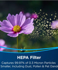 Purple flower with pollen showing filtration by HEPA filter; Air Purifier Replacement Filter Pack With HEPA Pre Filter And Activated Carbon