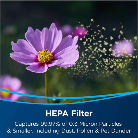 Purple flower with pollen showing filtration by HEPA filter; Air Purifier Replacement Filter Pack With HEPA Pre Filter And Activated Carbon