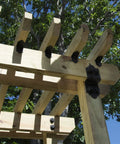 Pergola with Laredo Sunset Post To Beam Connector 4 Inch Heavy Duty Bracket Made From Powder Coated Galvanized Steel Hardware