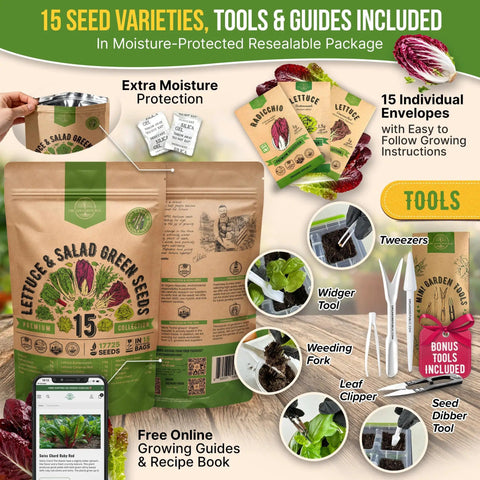 15 Variety Lettuce And Salad Greens Seeds Pack With 17700 Plus Non GMO Heirloom Seeds For Indoor And Outdoor Gardeners kit overview