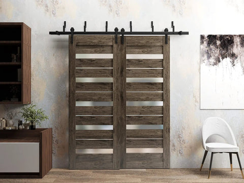 Interior Barn Bypass Sliding Doors With Frosted Glass In Black Finish Two Slab Doors Installed With Rails In Modern Room