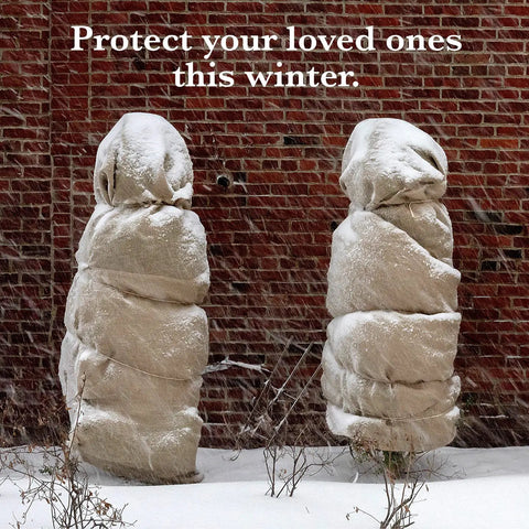 Plants wrapped in burlap against brick wall, snowy ground, text 'Protect your loved ones this winter.'