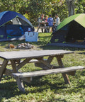 Easy Setup Sundome Camping Tent With Rainfly Weatherproof Shelter For 2 To 6 People pitched in a campsite with picnic table