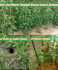 25 Pack 58 Inch Steel Garden Stakes With Plastic Coating supporting tomato plants in a garden illustration, with usage steps.