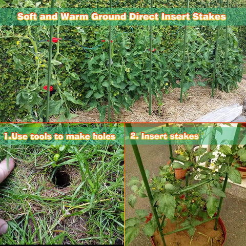 25 Pack 58 Inch Steel Garden Stakes With Plastic Coating supporting tomato plants in a garden illustration, with usage steps.