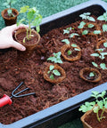 3.25 Inch Coconut Coir Biodegradable Pots 22 Pack Plantable Seed Starter Pots Peat Free Eco Friendly Sustainable Garden Containers
