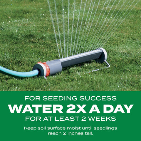 Watering lawn with hose and sprinkler for 3 In 1 Lawn Care Kit For Thick Greener Turf Sun And Shade Seed Fertilizer And Soil Improver.